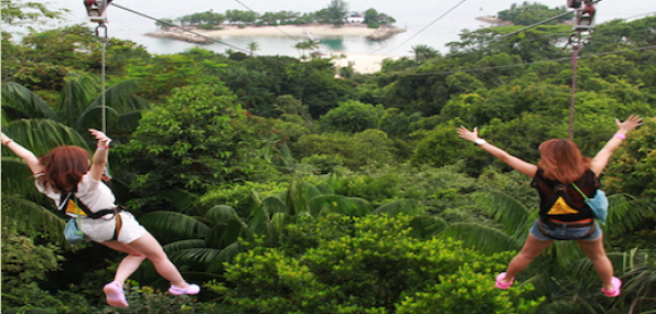 MegaZip I Cruisy Treetop Zipline to the Sea