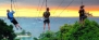 MegaZip I Cruisy Treetop Zipline to the Sea