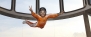 Indoor Skydiving at iFly Singapore - 1 Person / Normal Time