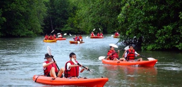 Ubin Bisect Kayaking - Adult or Child